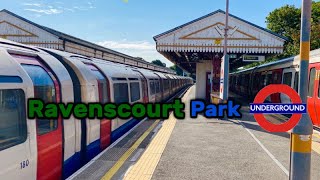 London Underground District and Piccadilly Line Trains at Ravenscourt Park Station  160824 [upl. by Rosalinde627]