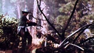 WILDFIRE  True Story of Firefighters vs Out of Control Forest Fire [upl. by Morris]