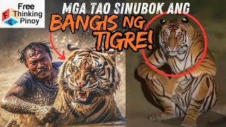 TIGER 101  Mga Bagay na Hindi MO ALAM tungkol sa Tiger [upl. by Rosecan44]