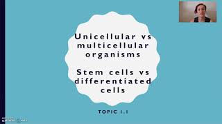 Unicellular vs multicellular differentiated vs stem cells [upl. by Yardna]