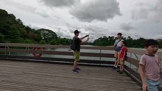 Singapore Macritchie Reservoir Walk [upl. by Mahan601]