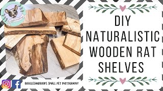 DIY Naturalistic Wooden Rat Shelves [upl. by Nobe510]