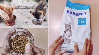 Purepet Cat Food Review  Best Cat Food In India [upl. by Ioves810]