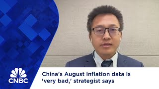 Chinas August inflation data is very bad strategist says [upl. by Aynotan481]