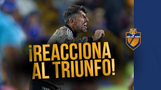 Veljko Paunovic REACCIONA AL TRIUNFO de Tigres  Juan Brunetta y Sebastián Córdova [upl. by Ahsiemac990]