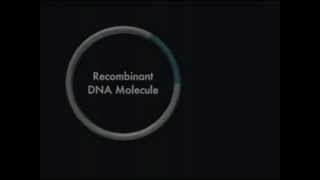 DNA recombinante [upl. by Erlond593]