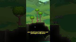 How To Get Anklet Of The Wind In Under A Minute In Terraria Seed1111894389302 terraria [upl. by Iroc967]