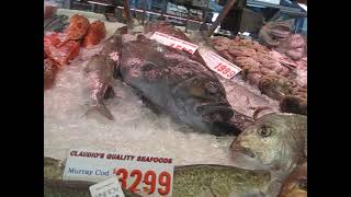 Sydney Pyrmont Fish Market [upl. by Calisa]