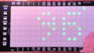 LinnStrument Panel Settings [upl. by Karab355]