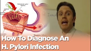 How To Diagnose An H Pylori Infection [upl. by Rennane]