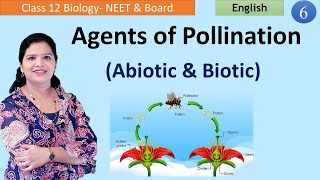 Agents of Cross Pollination NCERT Class 12 [upl. by Neelhtak]