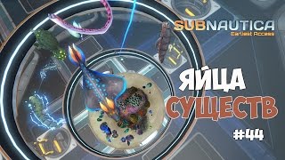 Subnautica Experimental  Яйца и детеныши существ Принимаем роды 44 [upl. by Oibaf565]