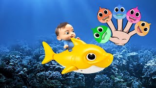 Baby Shark Finger Family  Nursery Rhymes and Kids Songs [upl. by Alphard132]