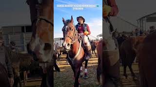 Horses market equestrain shorts horse asmr [upl. by Snowber]