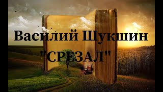 Василий Шукшин quotСрезалquot Аудиокнига [upl. by Nadeen]