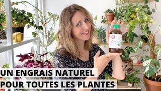 🌿 UN ENGRAIS NATUREL UTILISABLE TOUTE LANNÉE POUR TOUTES LES PLANTES  CEST POSSIBLE [upl. by Teews191]