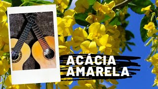 Acácia Amarela  Luiz Gonzaga Versão Instrumental  Violão amp Viola [upl. by Tedi]