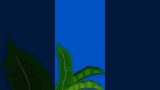 Banana Leaves Animation  Tropical Overlay Effects [upl. by Alyakem]