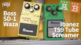 TPS AB Comparisons – Boss SD1w Super Overdrive amp Ibanez TS9 Tube Screamer [upl. by Dnallor]