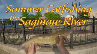 How To Tips and Tricks to Catch More Catfish [upl. by Nolram167]