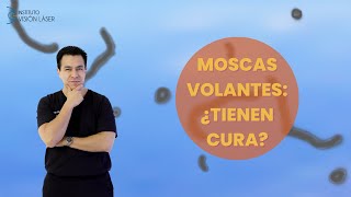 Moscas volantes ¿Tienen cura [upl. by Aihsekyw]