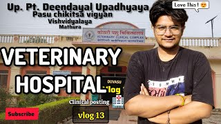 Veterinary hospital vlogs 13  Duvasu Diaries  Clinical duties start  Bvsc ampAh  Vet hospital 🏥 [upl. by Hieronymus658]