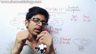 Bacterial Conjugation  Hfr f prime and f plasmid [upl. by Elacsap]