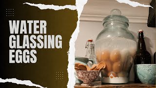 How To Water Glass Eggs [upl. by Anayk]