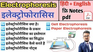 Electrophoresis in hindi  Gel Electrophoresis  Pepar Electrophoresis  Agarose Gel Electrophoresis [upl. by Enttirb]