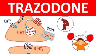 Trazodone tablets and Important Side effects [upl. by Marco]