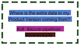 Where is the extra data in my Product Version coming from [upl. by Nevyar]