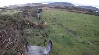 Donegal Harriers Falcarragh Hunt [upl. by Adnara]