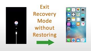 Get out of Recovery Mode without Restoring  ReiBoot [upl. by Gaudet]