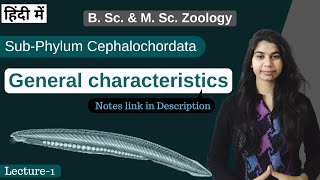 SubPhylum Cephalochordata  general characteristics  In Hindi  B Sc amp M Sc  Zoology [upl. by Harcourt]