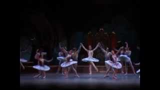 Raymonda  selections 1  Svetlana Zakharova Andrei Uvarov  Tokyo 2004 [upl. by Nmutua]