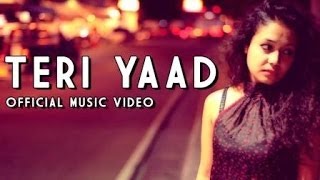 Teri Yaad  Official Music Video  Neha Kakkar [upl. by Aicilegna75]