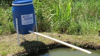 Alimentador Automático de Arremesso para peixes lagos cavalos galinhas comedouro cocho [upl. by Goto]