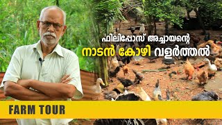 റബ്ബർ തോട്ടത്തിലെ കോഴി കൃഷി  നാടൻ കോഴി വളർത്തൽ  Naadan Kozhi Valarthal  Naadan Kozhi Farm [upl. by Lauro]