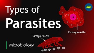 Types of Parasites  Classification of parasites  Microbiology  Basic science Series [upl. by Iow462]