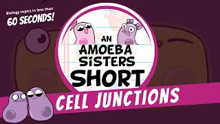 Cell Junctions  Amoeba Sisters Shorts [upl. by Attenad]