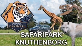 Safaripark Knuthenborg  Der beste Zoo Europas  Zoowelt Dänemark [upl. by Ayatnwahs388]