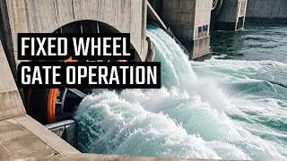 HYDRO DAM FIXED WHEEL GATES OPERATION [upl. by Avevoneg]