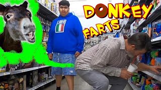 DONKEY FARTS 🐴🍩 Funny Wet Fart Prank 🤣 [upl. by Sivrup]