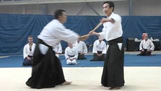 Kashiwaya sensei was teaching Jo at EKF KiAikido Camp 2011 [upl. by Arbua]