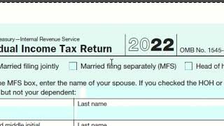 Form 1040 and Earned Income Credit [upl. by Pontius141]