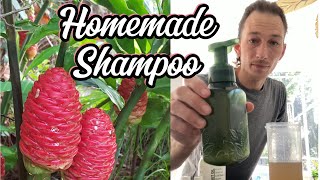 How To Make Homemade Shampoo From Pine Cone Ginger Plant Shampoo Ginger [upl. by Torhert]