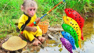 Bin Bon duck Monkey Baby Kittens Puppy Goes Koi Cat And swims Rabbits Animals Eats Egg Muckbang Asmr [upl. by Edyaw]