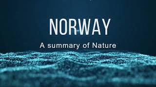 Norway in a nutshell  Fjords  Snow  Medows  Waterfalls  Hikes  Lakes [upl. by Karlie]