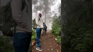 Finest Treking in kodaikanal tamil tamilsong yathra travel kodaitrip kodaikanaltravel mist [upl. by Anua101]