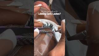 Curly Lash Tips lashes lashtechtips lashtraining eyelashextensions lashtech love lashes [upl. by Nelson]